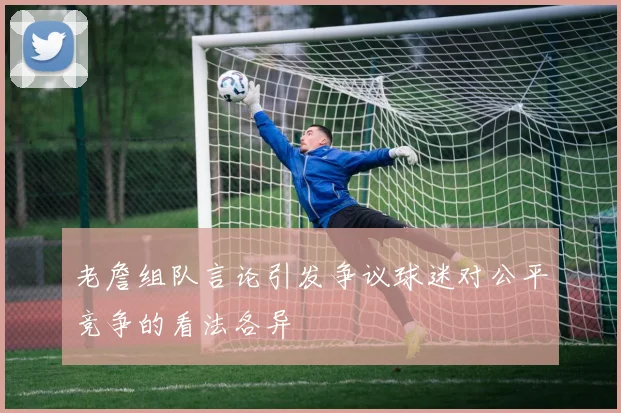 老詹组队言论引发争议球迷对公平竞争的看法各异